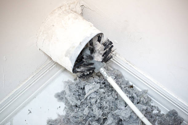 Best Emergency Air Duct Cleaning  in Reno, NV